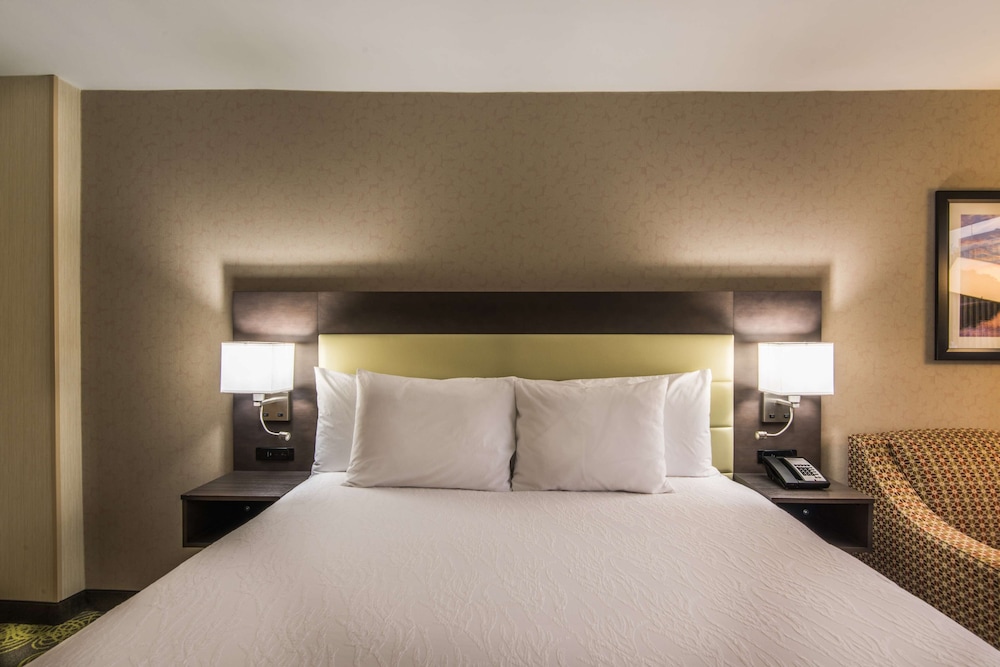 Hilton Garden Inn Reagan National Airport, Photo 4