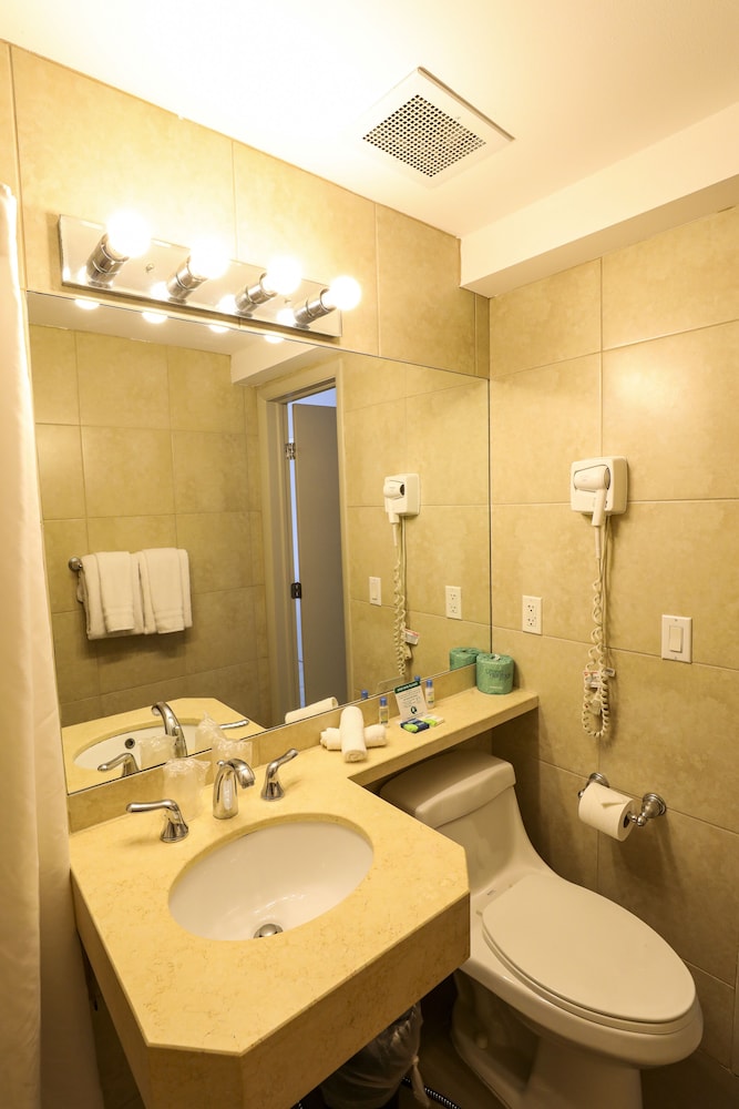Standard Room, 1 King Bed, Accessible - Photo 4