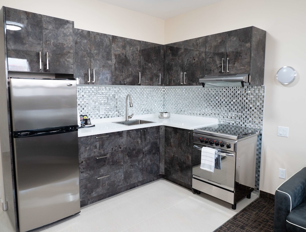 Suite, 1 King Bed, Non Smoking, Kitchen (with Sofabed, Full Kitchen) - Photo 6