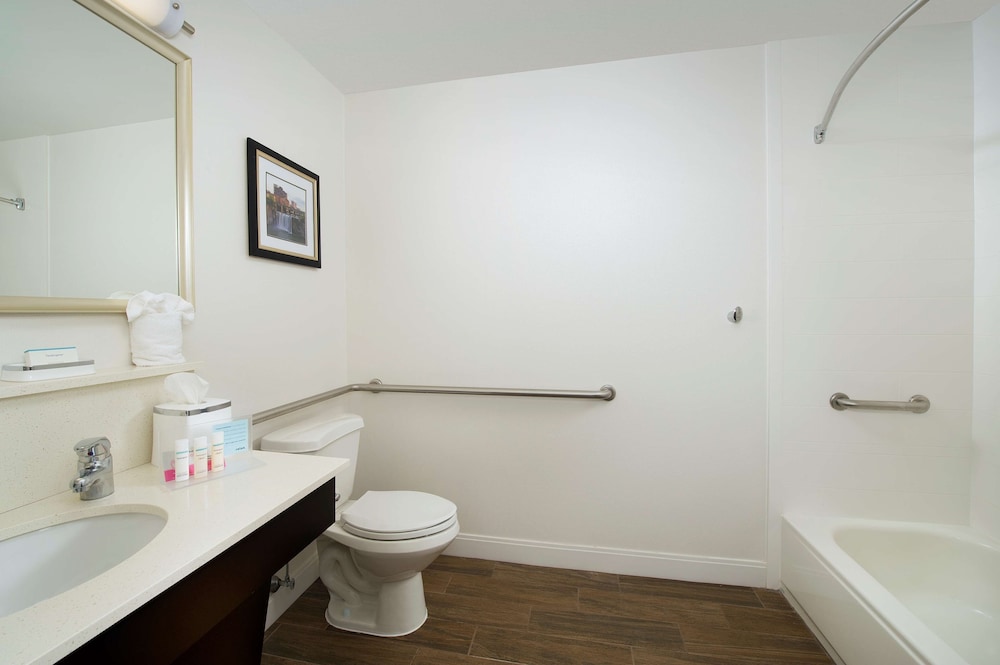 Room, 1 King Bed, Accessible, Bathtub