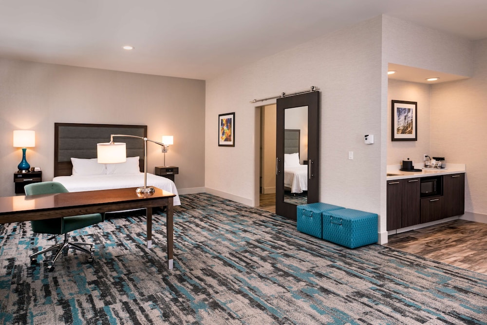 Suite, 1 King Bed, Accessible, Non Smoking (Roll In Shower) photo 1