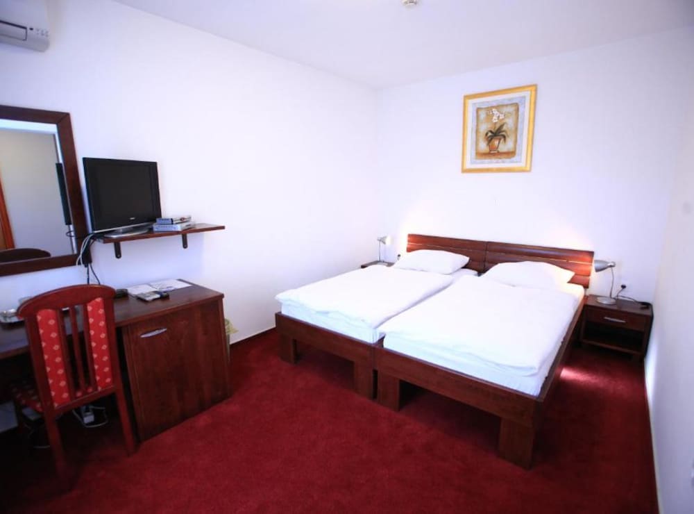 Double Room (Double Room With Mountain View)