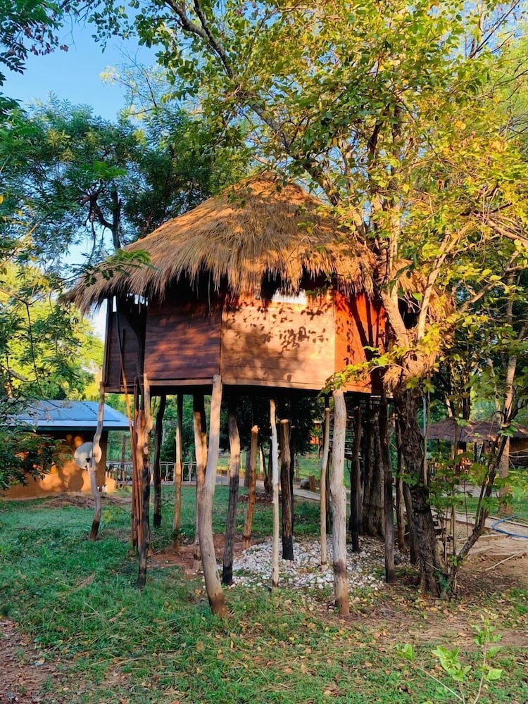 Tree House photo 1