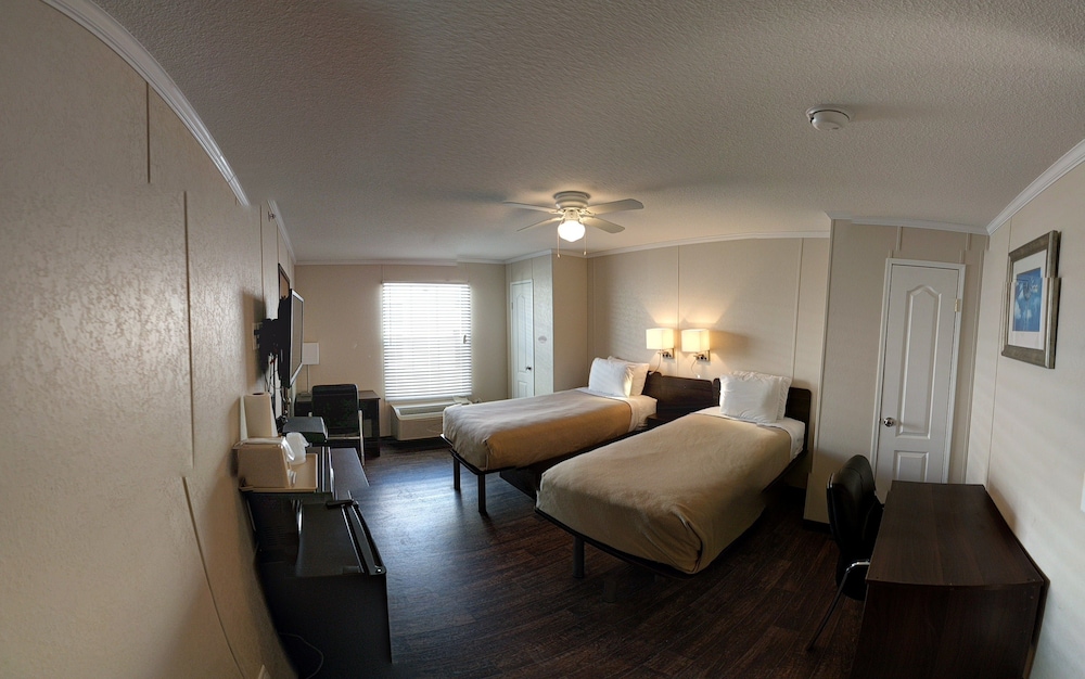 Standard Double Room, 2 Double Beds photo 1