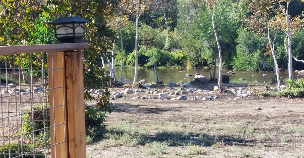 Economy Cabin, River Front, River View, Patio #4 photo 3