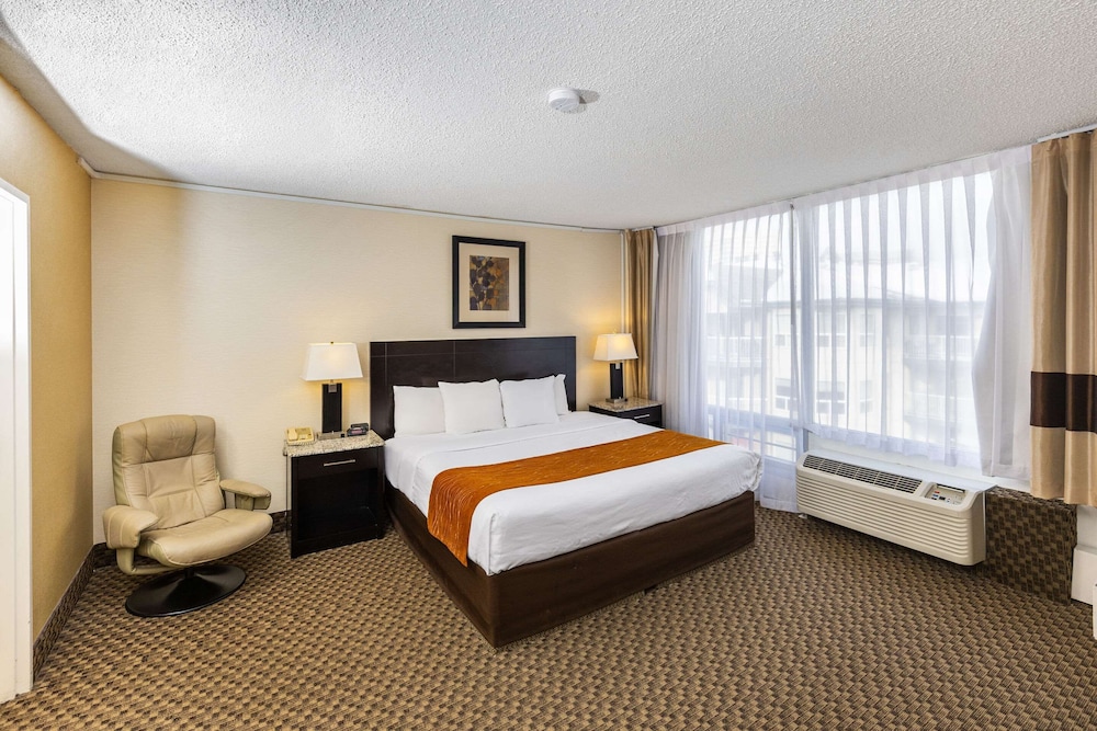 Standard Room, 1 King Bed, Non Smoking - Photo 1