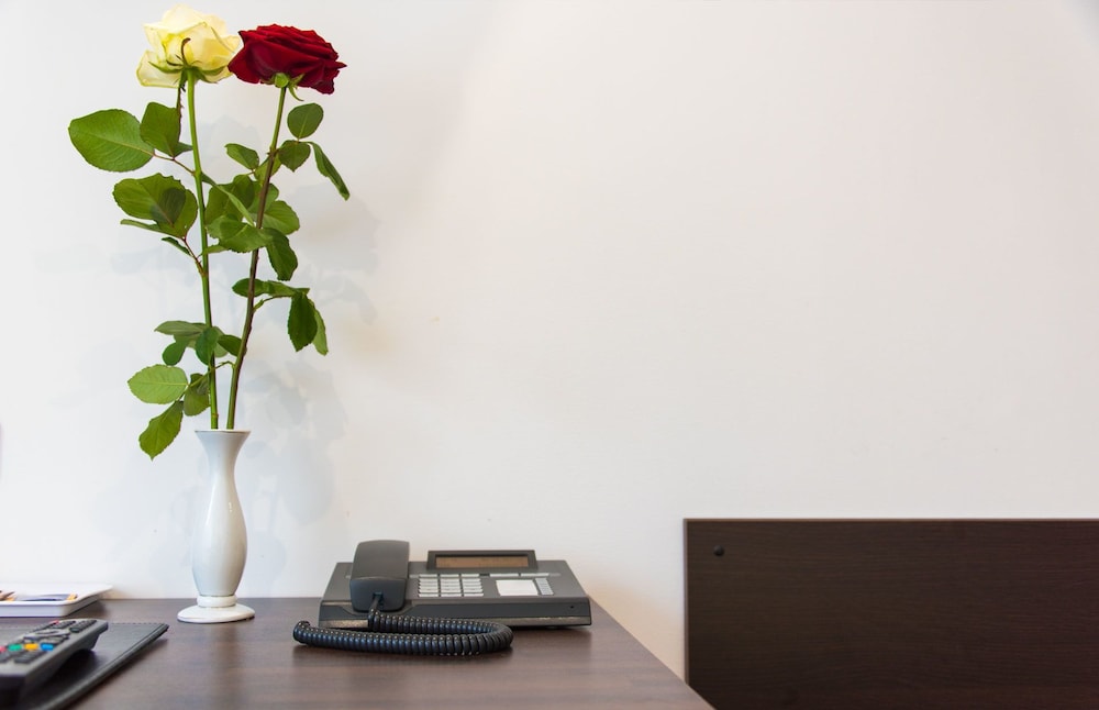 Basic Single Room photo 2