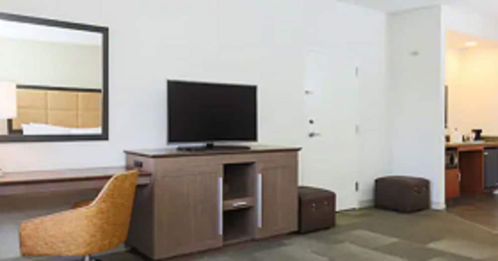 Room, 1 King Bed, Accessible, Non Smoking (Bathtub, Hearing) - Photo 6