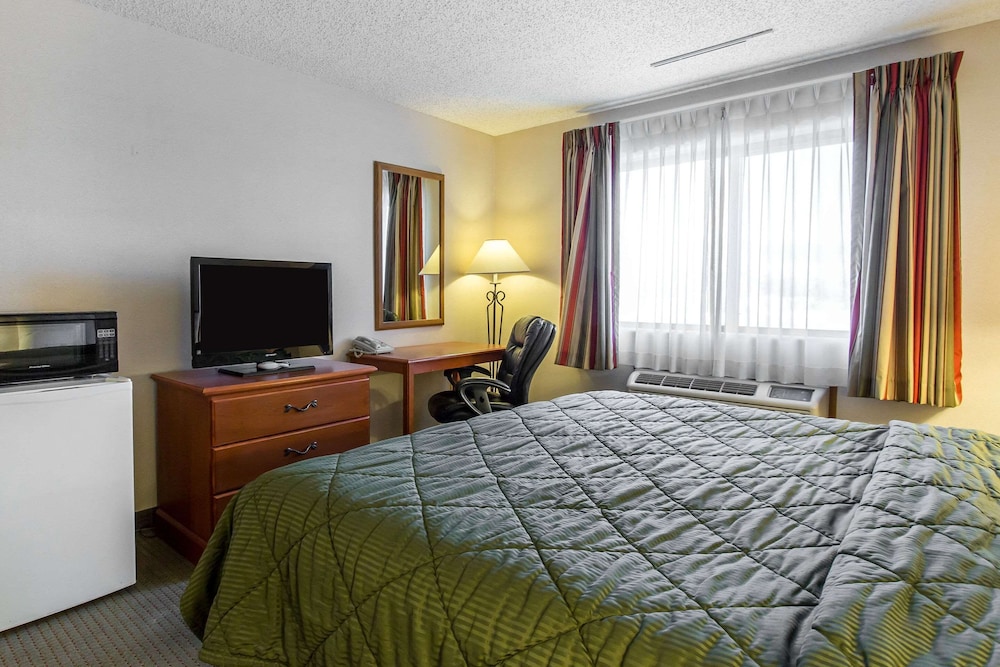 Standard Room, 1 King Bed, Non Smoking, Refrigerator - Photo 3