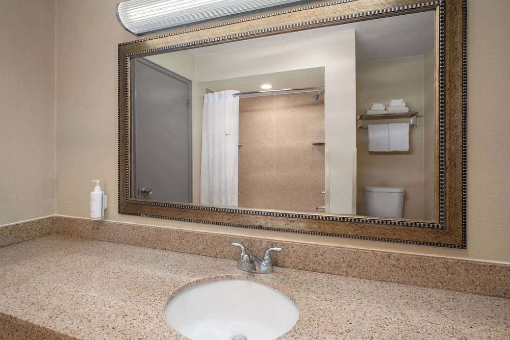 Suite, 1 Bedroom, Non Smoking - Photo 4