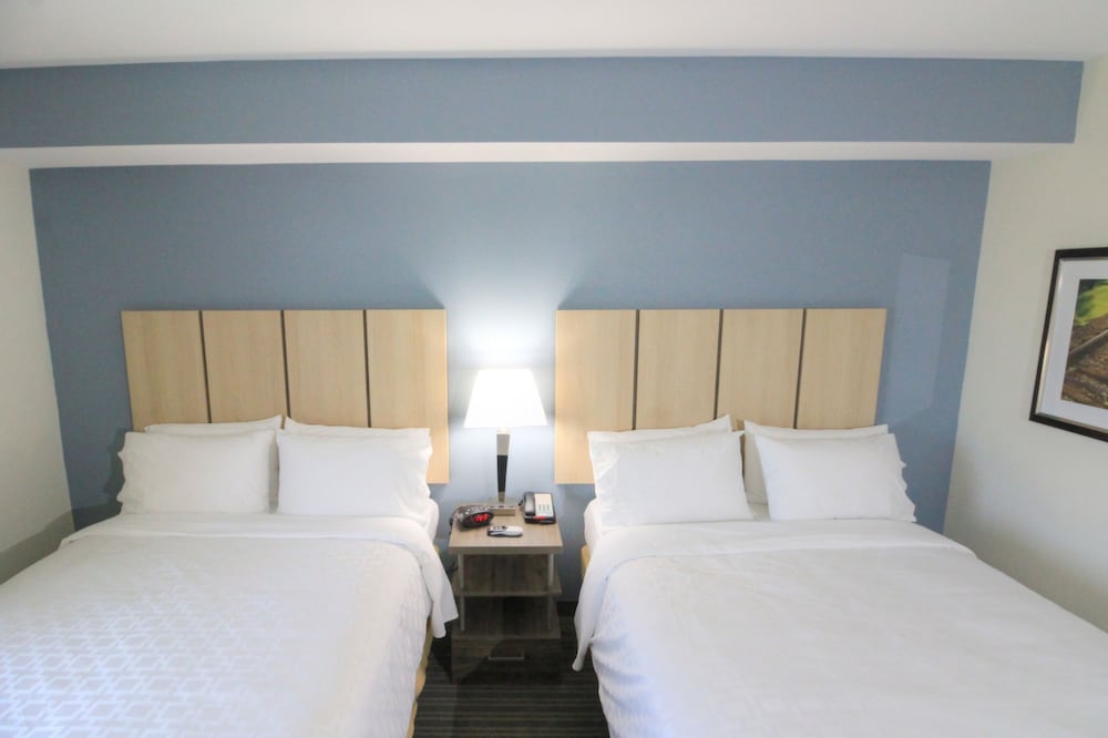 Studio Suite, 2 Queen Beds photo 1