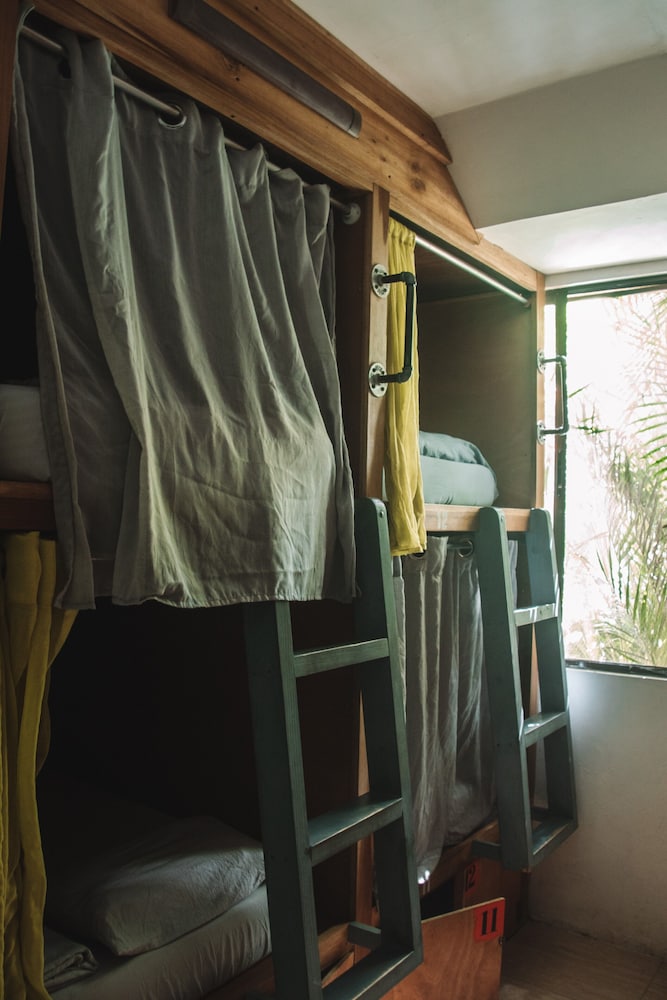 Habitacion Compartida (Cocles) photo 3