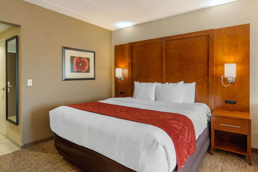 Studio Suite, 1 King Bed with Sofa bed, Accessible (Mobility and Hearing Accessible) - Photo 4