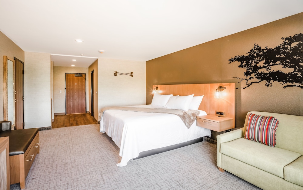 Elite Room, 1 King Bed with Sofa bed, Refrigerator & Microwave, Desert View photo 1