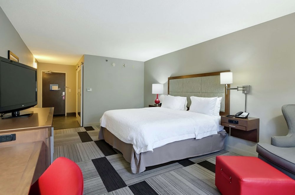 Room, 1 King Bed (Hearing Impaired) photo 1