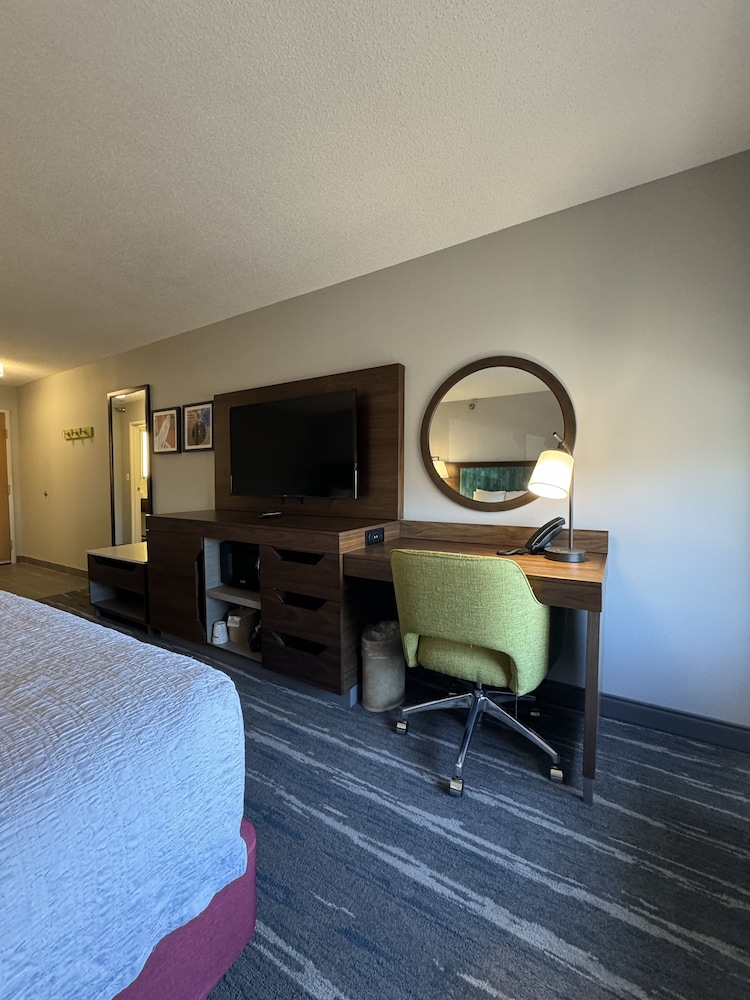 Room, 1 King Bed, Accessible, Non Smoking (Mobility & Hearing, Roll-in Shower) - Photo 3