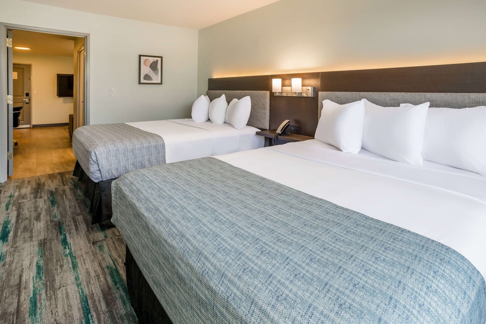 Suite, 1 Bedroom, Non Smoking photo 3