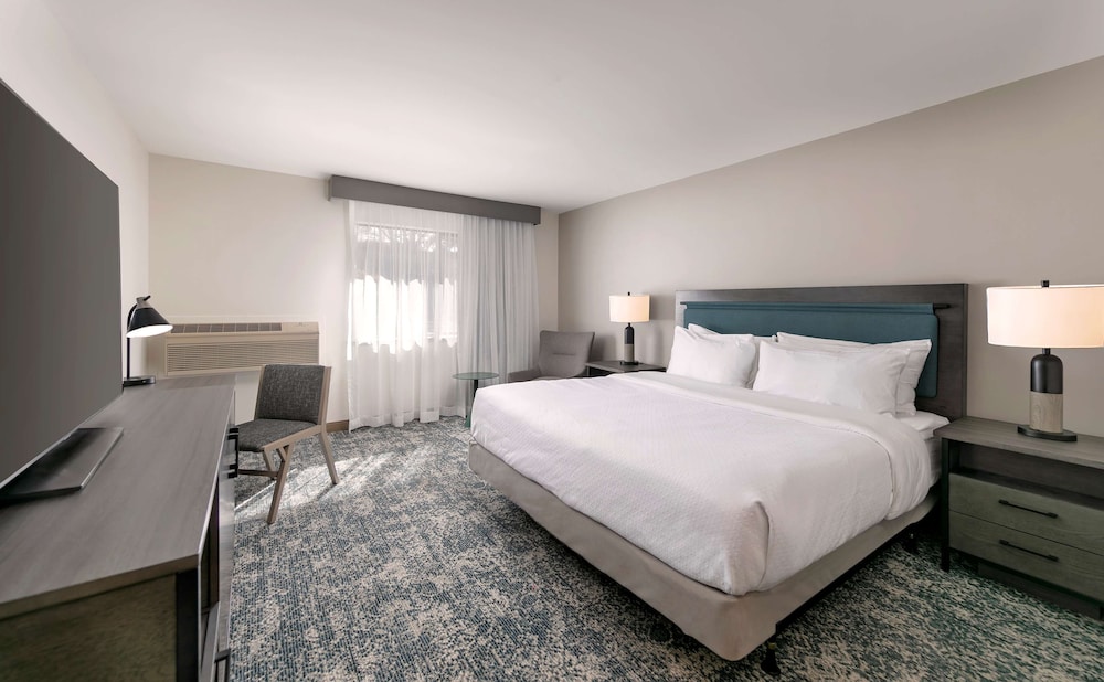 Suite, 1 Bedroom