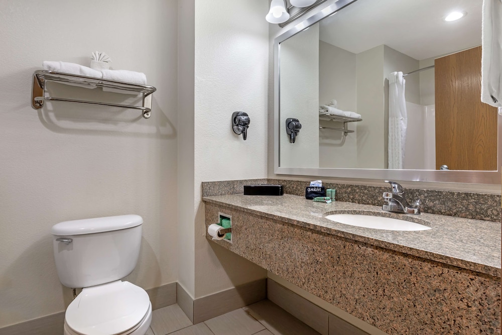 Standard Room, Multiple Beds, Non Smoking, Refrigerator & Microwave - Photo 4