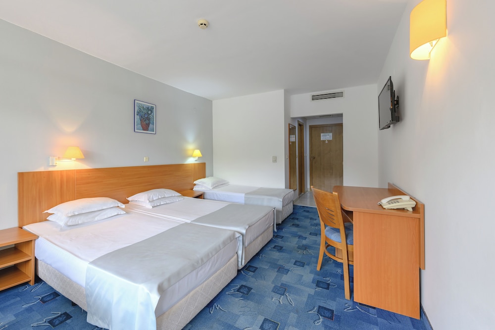 Triple Room photo 3