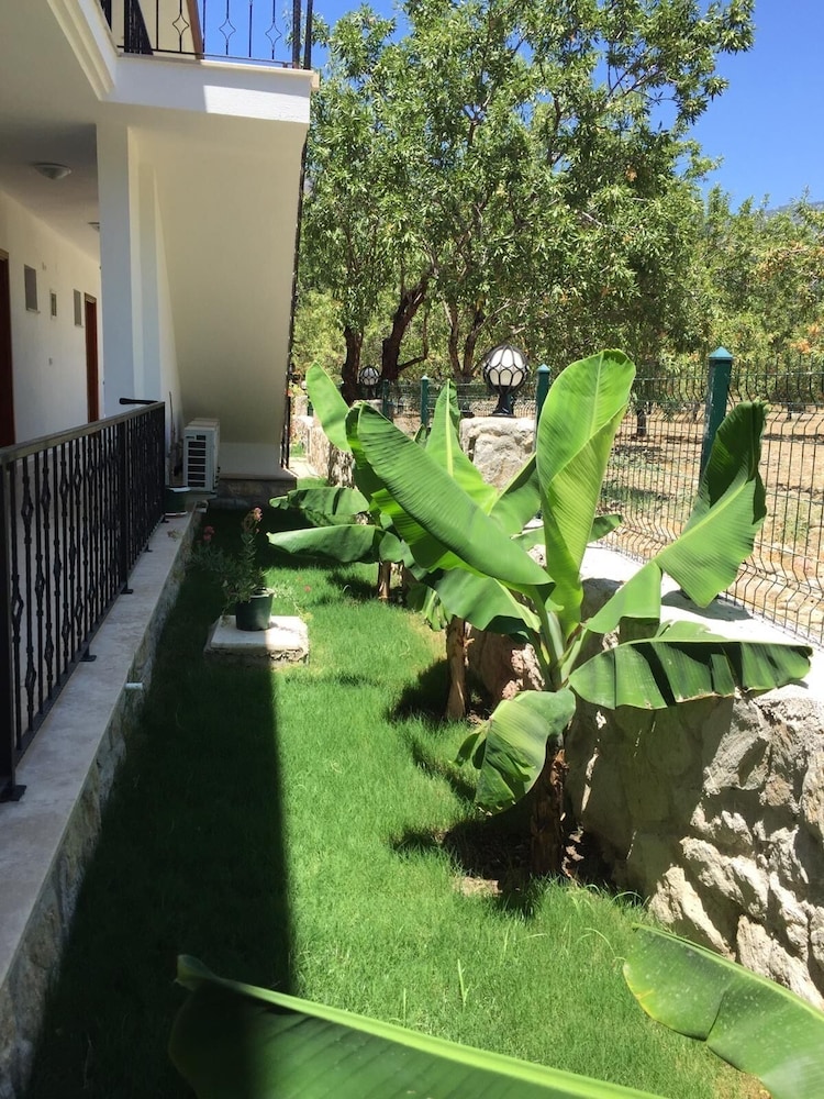 Basic Room, Garden View photo 2