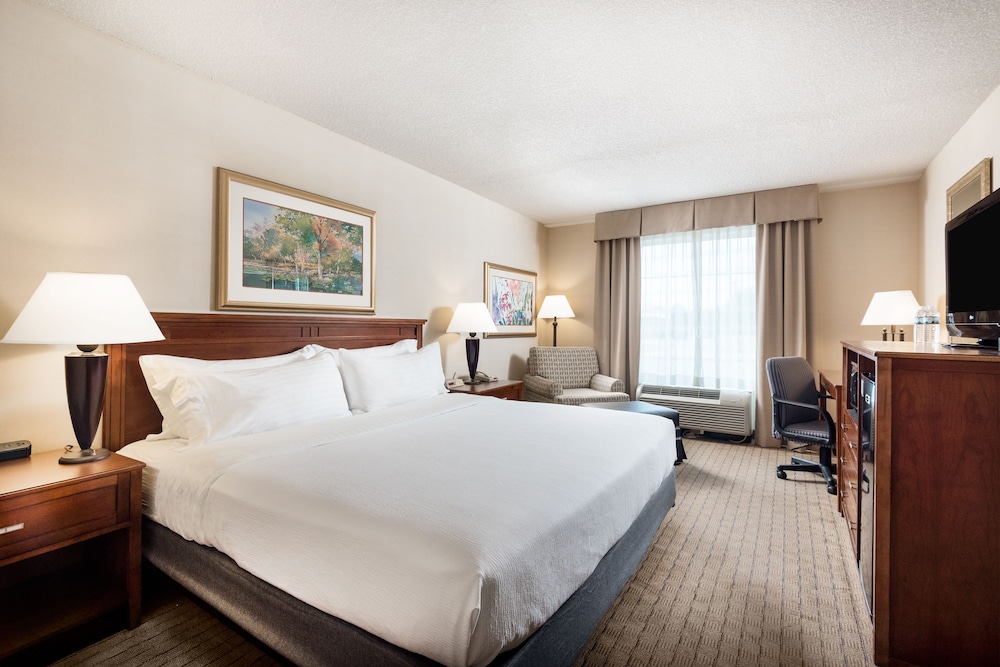 Standard Room, 1 King Bed with Sofa bed photo 1