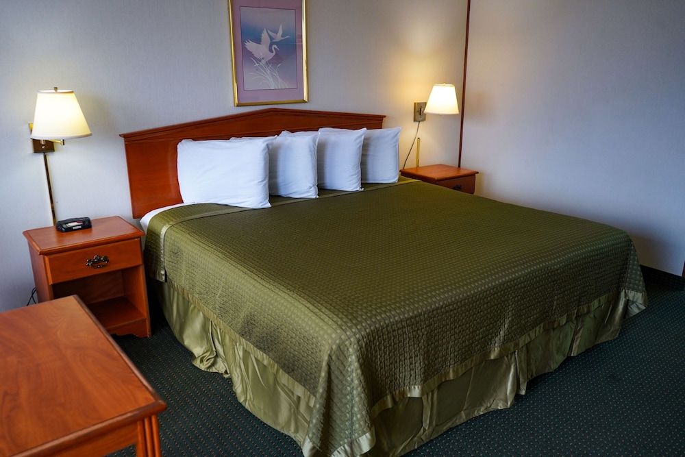 1 King Bed Non-Smoking photo 1