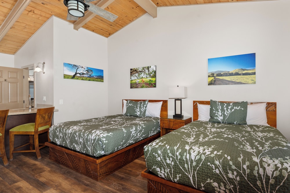Deluxe Room, Kitchenette - Photo 13