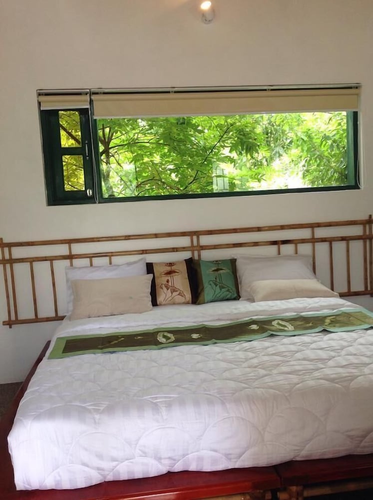 Double or Twin Room photo 1