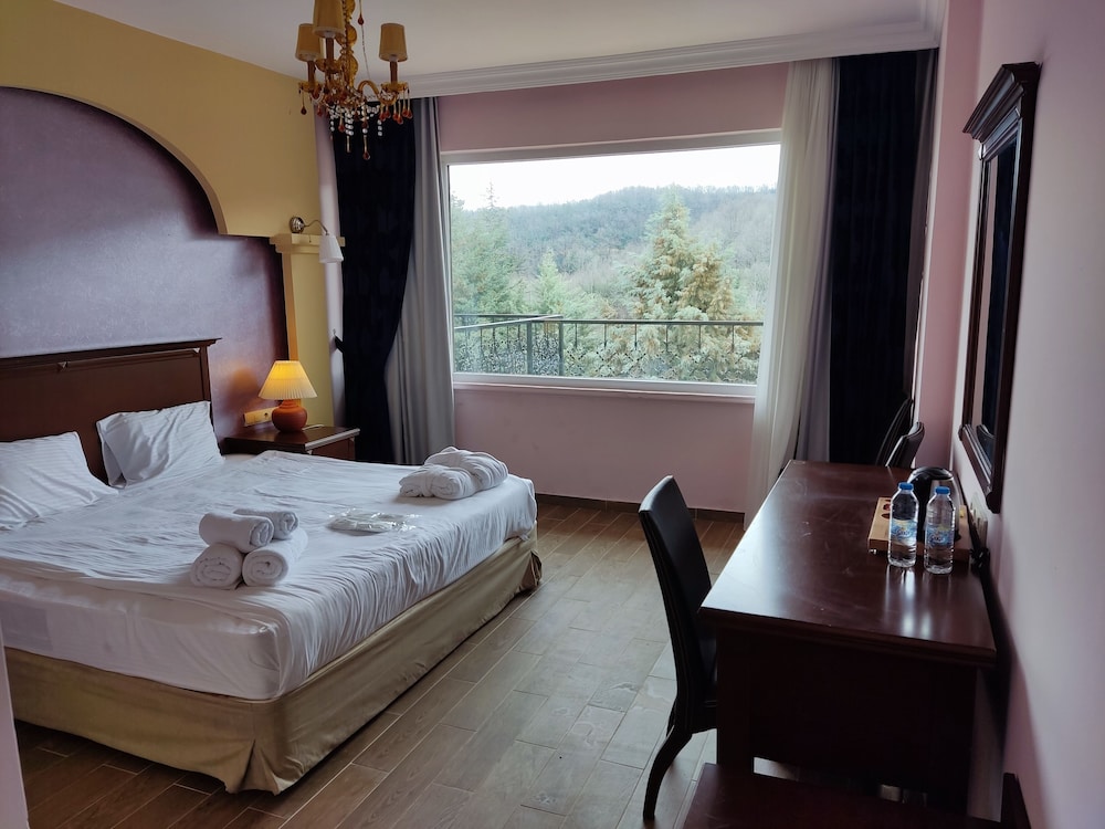 Exclusive Suite, Sauna, Mountain View