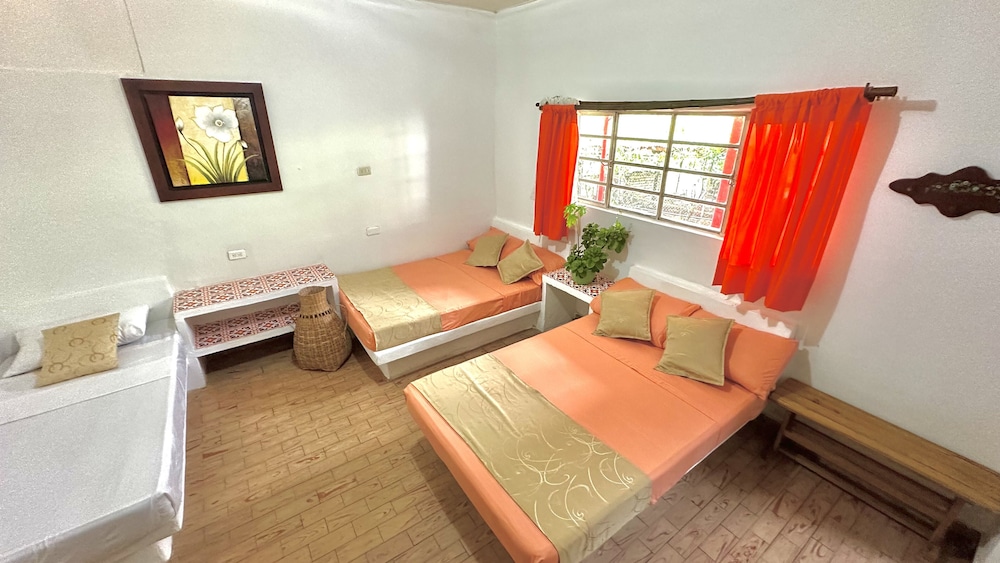 Classic Room, 1 Bedroom photo 1