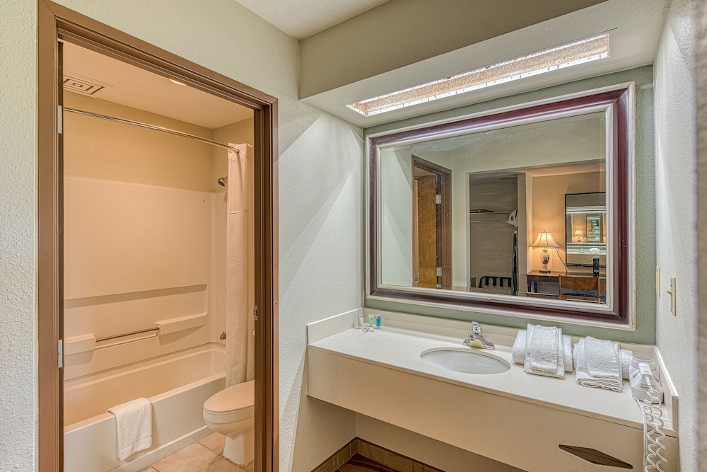 Family Suite photo 3