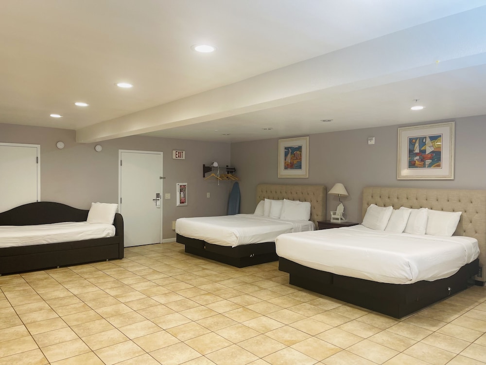 Superior Room, Multiple Beds
