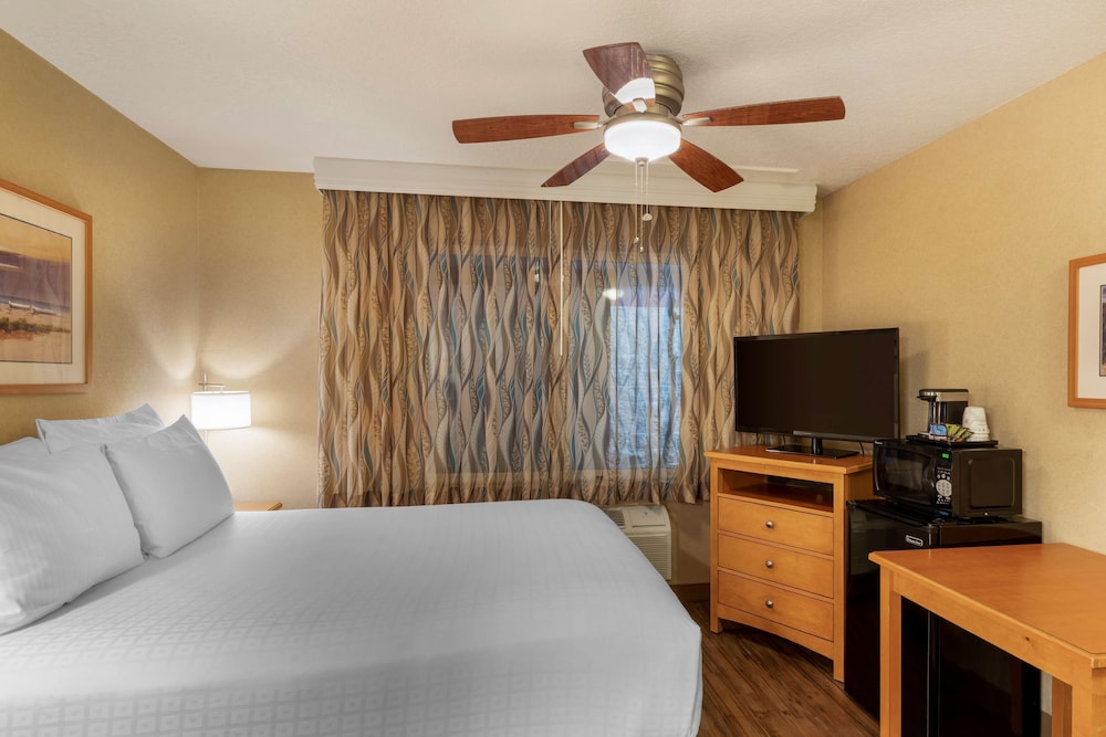 Standard Room, 1 Queen Bed, Accessible, Non Smoking photo 3