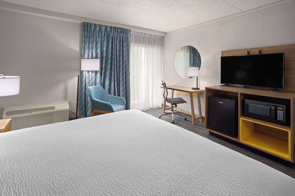 Room, 1 King Bed, Accessible photo 3