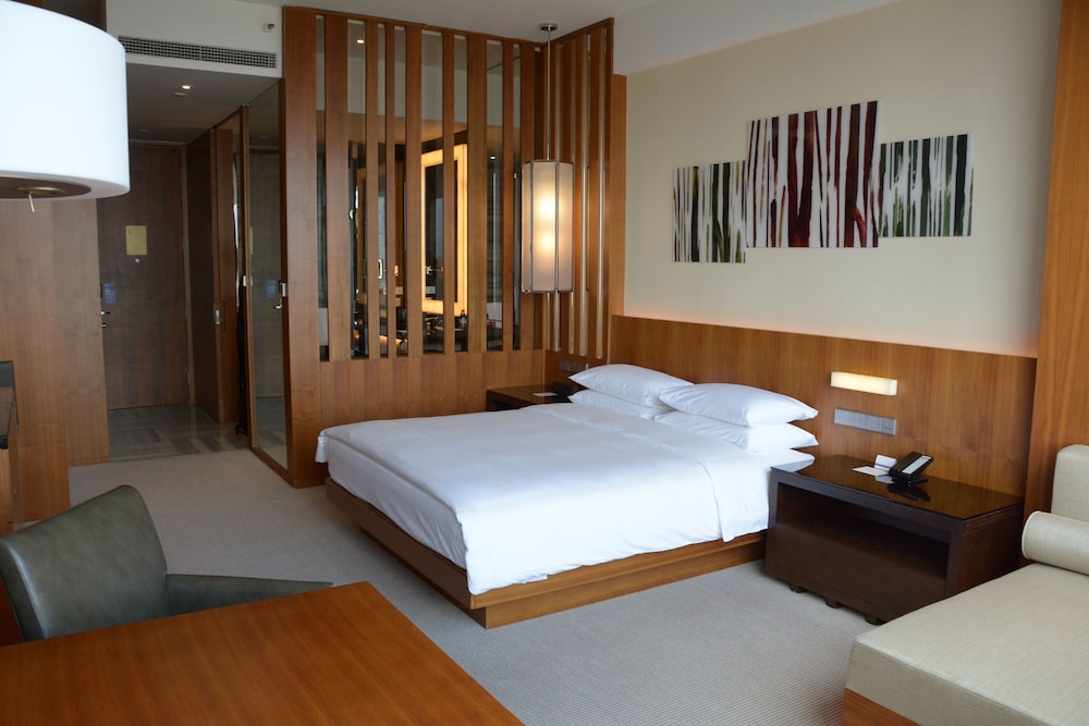Suite, 1 King Bed photo 2