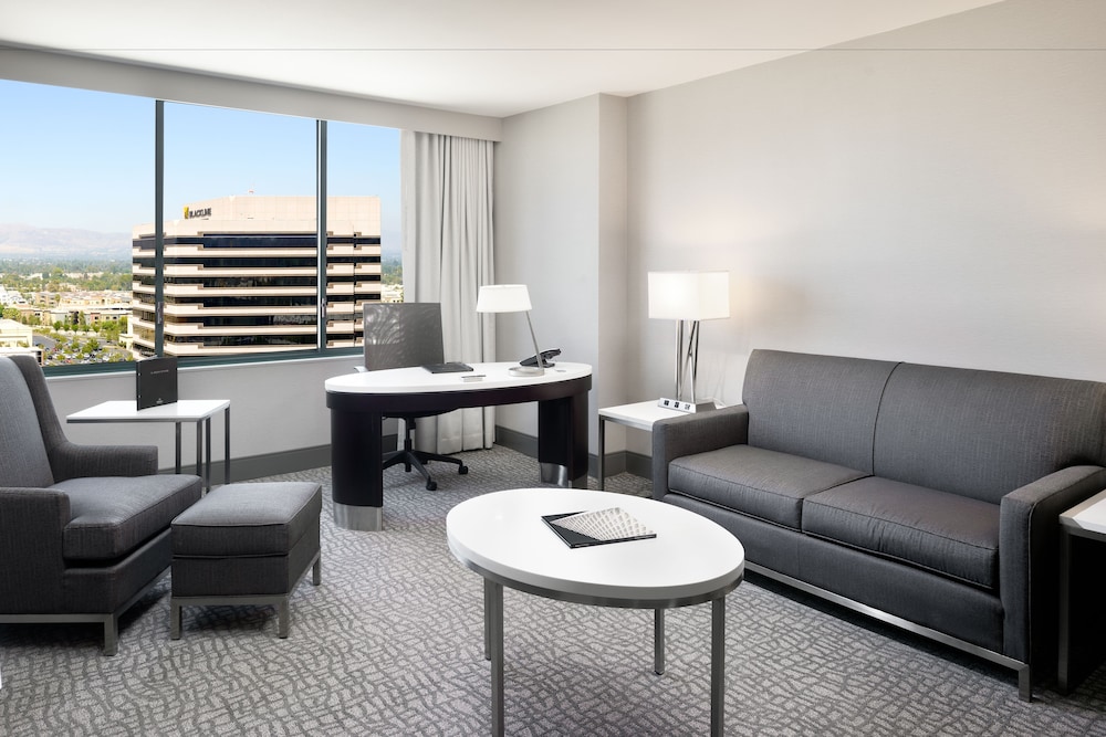 Deluxe Suite, 1 King Bed photo 1