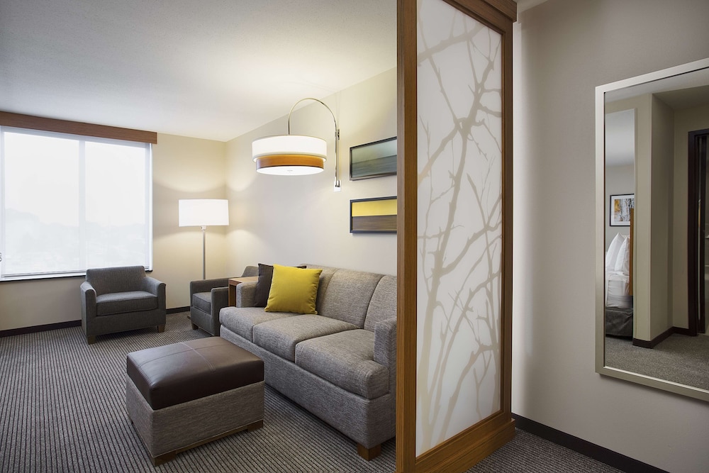 Premium Room, 1 King Bed photo 3
