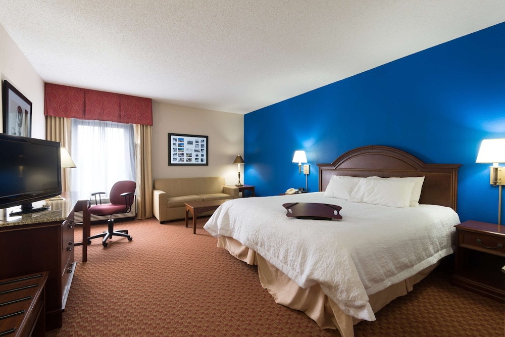 Room, 1 King Bed, Accessible, Bathtub (Mobility & Hearing) - Photo 2