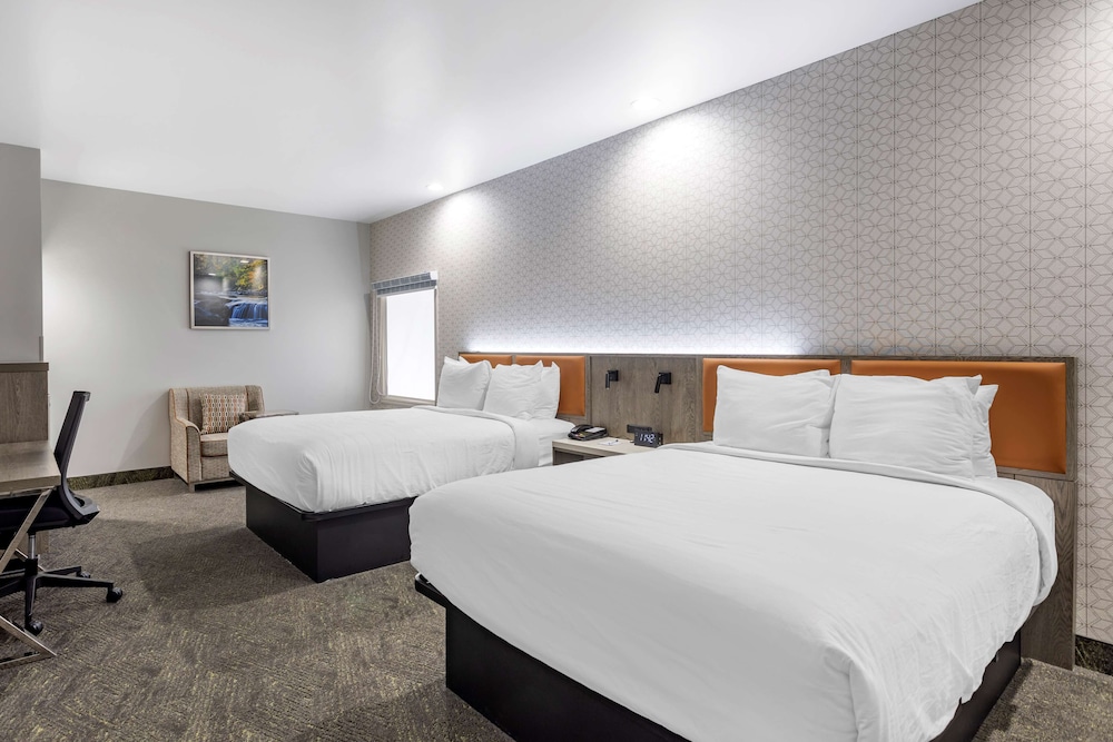 Standard Room, 2 Queen Beds, Accessible, Refrigerator & Microwave photo 1