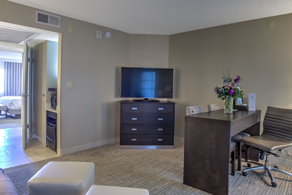 Suite, 1 King Bed, Accessible, Non Smoking - Photo 4