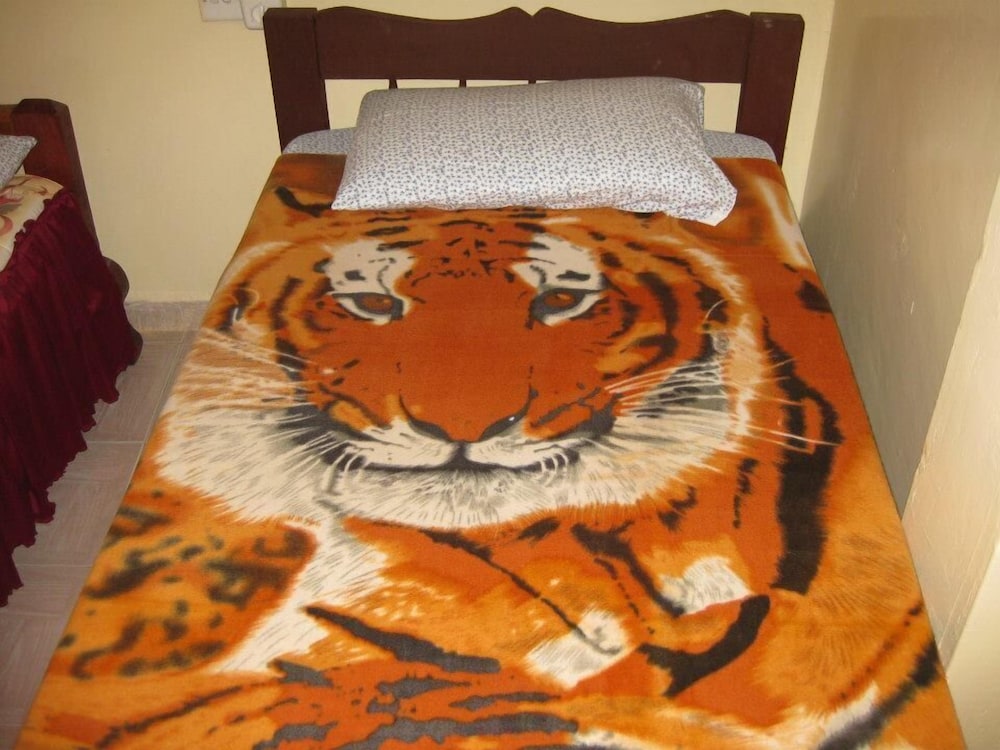 Twin Room, Multiple Beds, Non Smoking photo 1