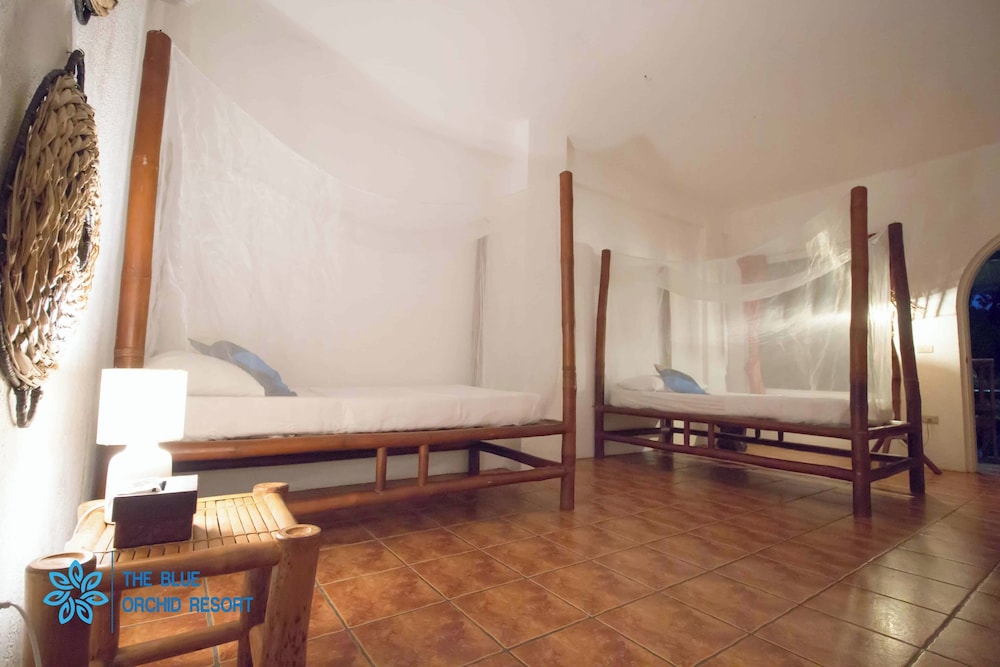 Twin Room - Photo 4