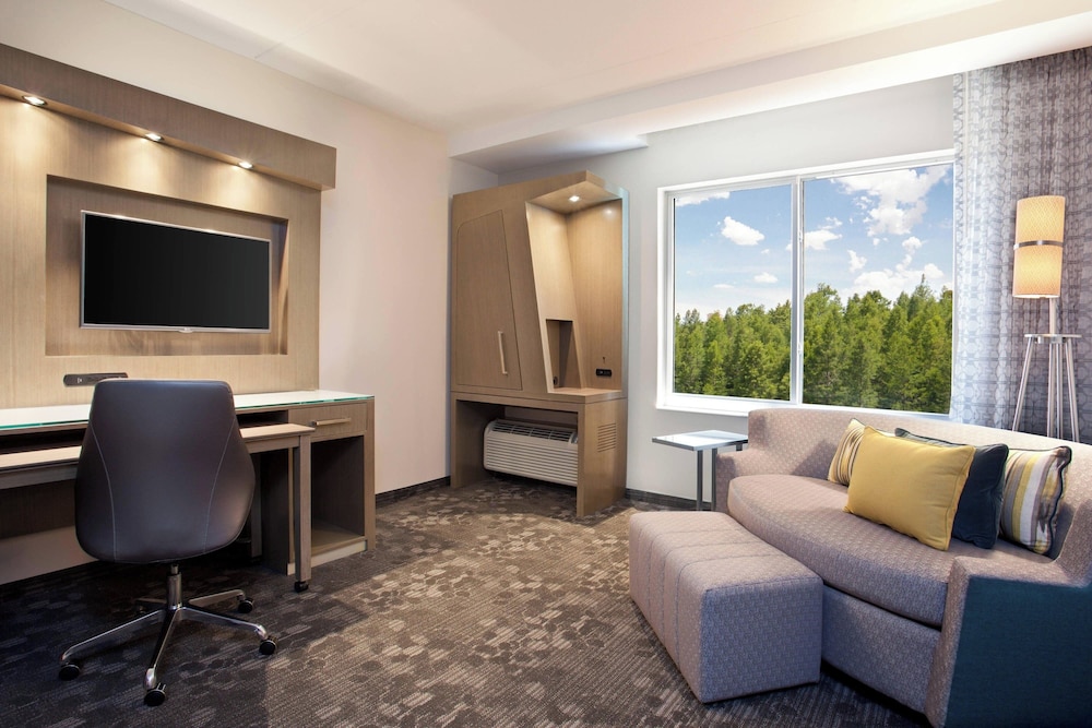 Studio, 1 King Bed with Sofa bed