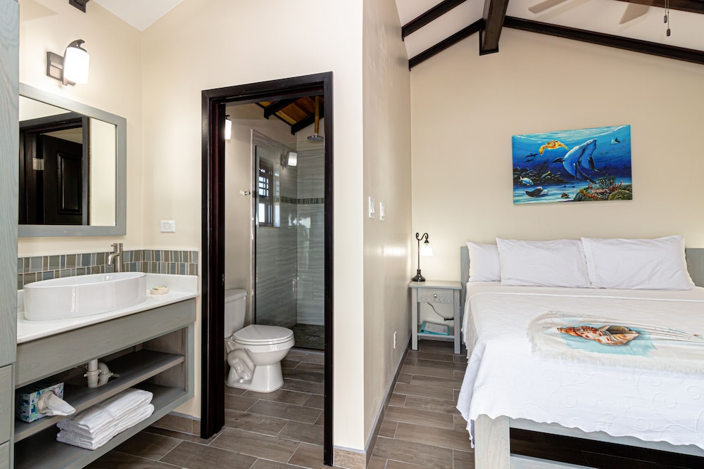 Room, 1 King Bed