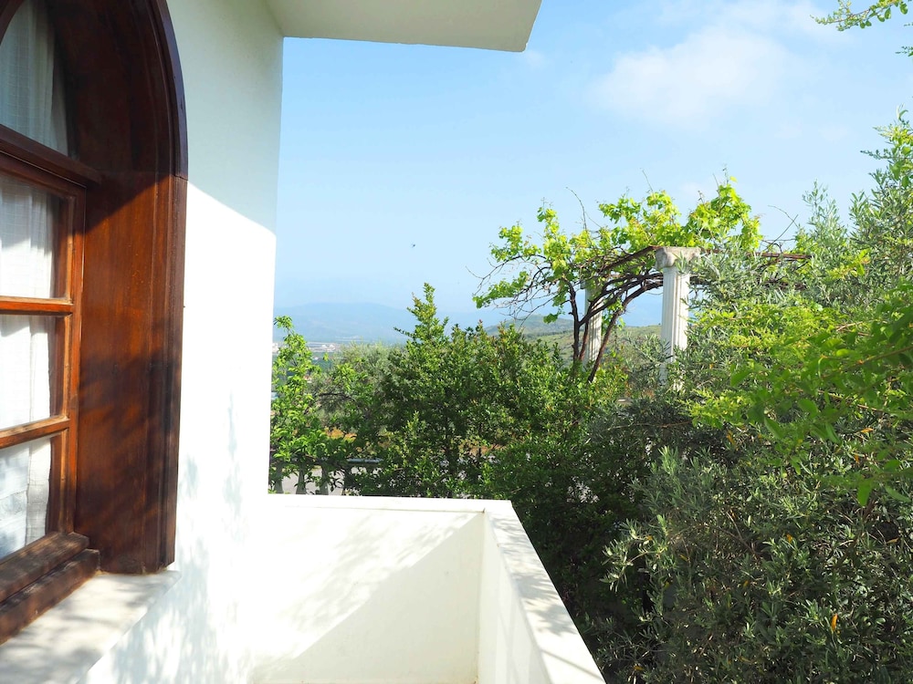 Panoramic Double or Twin Room photo 3