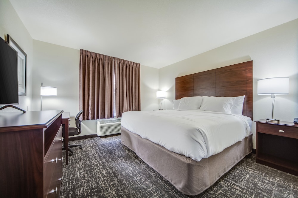 Studio Suite, 1 King Bed with Sofa bed, Accessible, Non Smoking (Audible/Visual) - Photo 10