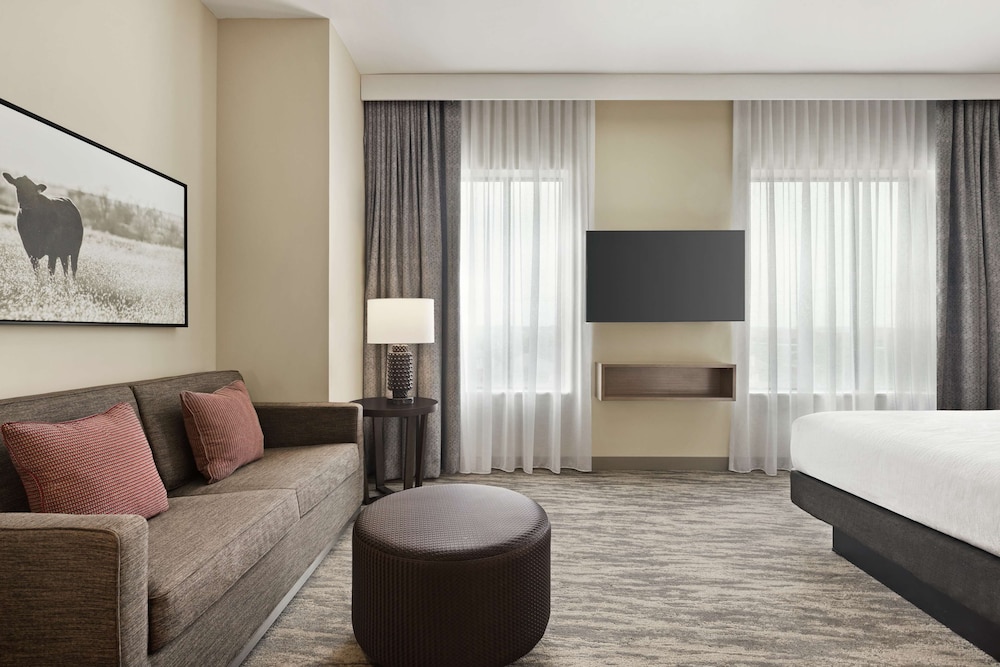 Studio Suite, 1 King Bed, Accessible at Embassy Suites by Hilton Round Rock in Round Rock