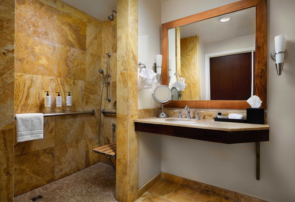 Deluxe Room, 1 King Bed, Roll-in Shower (Ada, Roll-in Shower) - Photo 3