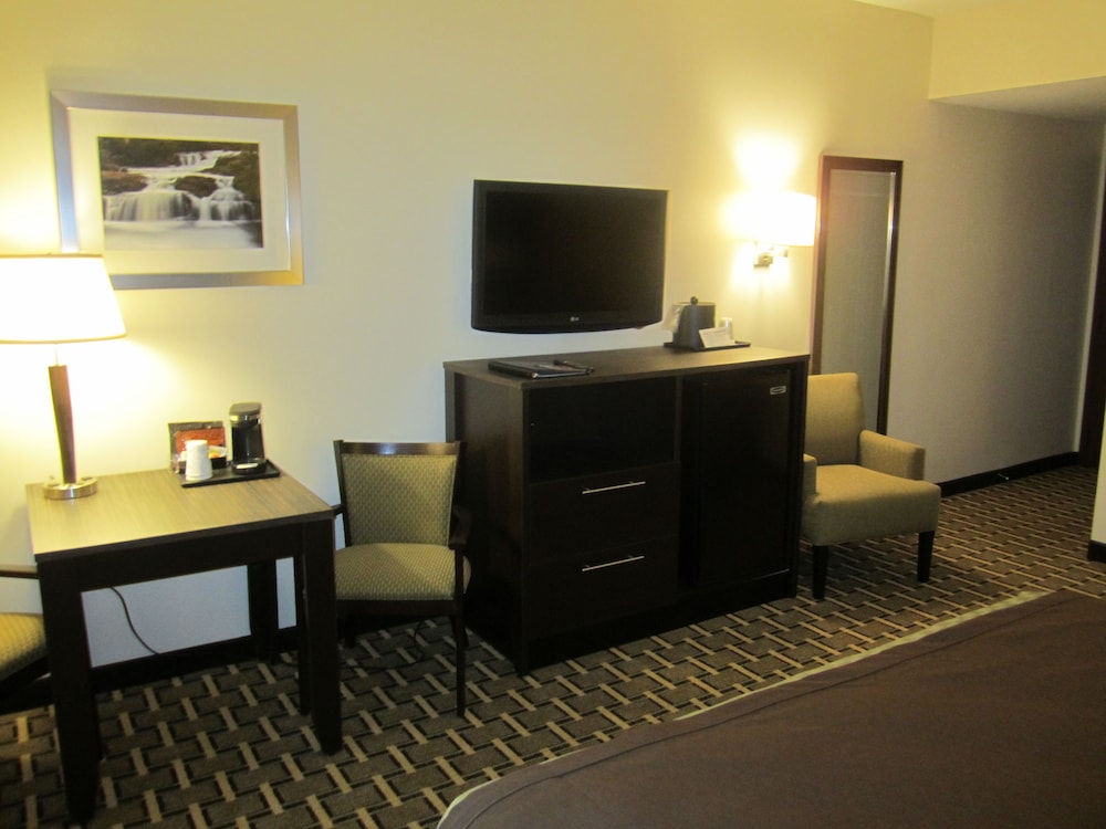 Standard Room, 1 King Bed, Non Smoking, Refrigerator & Microwave - Photo 2